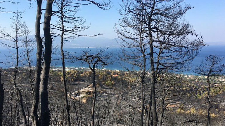 Ενεργοποιήθηκε το σύστημα «Κοπέρνικος» για δορυφορική χαρτογράφηση των καμμένων εκτάσεων σε Αττική και Ζάκυνθο