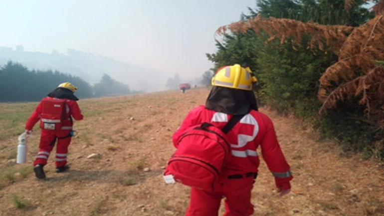 Συνδρομή Ελληνικού Ερυθρού Σταυρού με περισσότερους από 150 Εθελοντές στις πυρκαγιές σε Κάλαμο και Αμαλιάδα