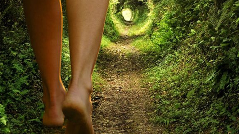 Ποια ζώδια έχουν την 6η αίσθηση;