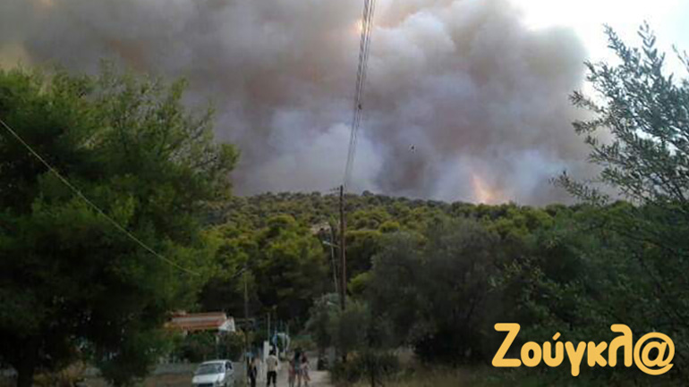 Ρυτό Κορινθίας: Δεν απειλεί κατοικίες η φωτιά – Καθηλωμένα λόγω καιρού τα καναντέρ