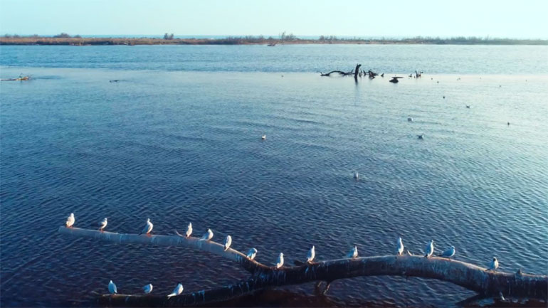 Το Δέλτα του Έβρου αποτυπώνεται για πρώτη φορά από ψηλά
