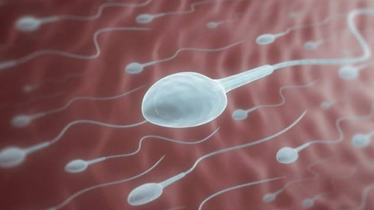 Δύο συνηθισμένες παθήσεις του σπέρματος