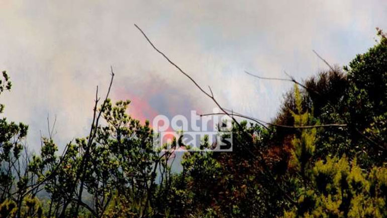 Μεγάλη πυρκαγιά σε εξέλιξη στο Γεράκι Αμαλιάδας – Τραυματίστηκε πυροσβέστης