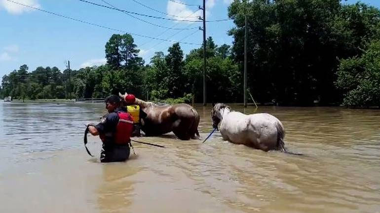 Συνεχίζεται η βροχόπτωση στο Τέξας