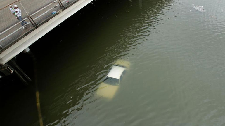 ΗΠΑ: 350 αλιγάτορες ελεύθεροι στις πλημμυρισμένες περιοχές