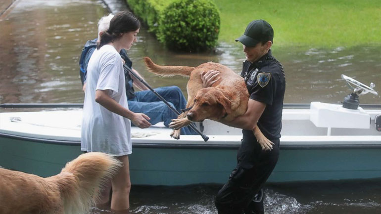 ΗΠΑ: Οι πλημμυροπαθείς αγωνιούν για την ασφάλεια των κατοικιδίων τους
