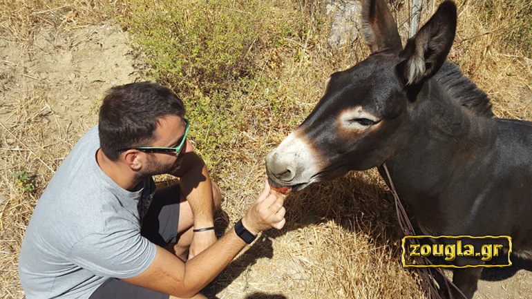 Τα «Νέα της Πιάτσας» επιστρέφουν τη Δευτέρα 4 Σεπτεμβρίου…