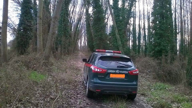 Δημιουργείται ένστολη Δασοφυλακή