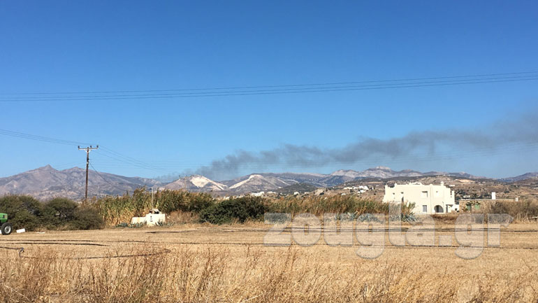 Σε εξέλιξη η πυρκαγιά στη Νάξο – Επιχειρούν δύο αεροσκάφη και ένα ελικόπτερο