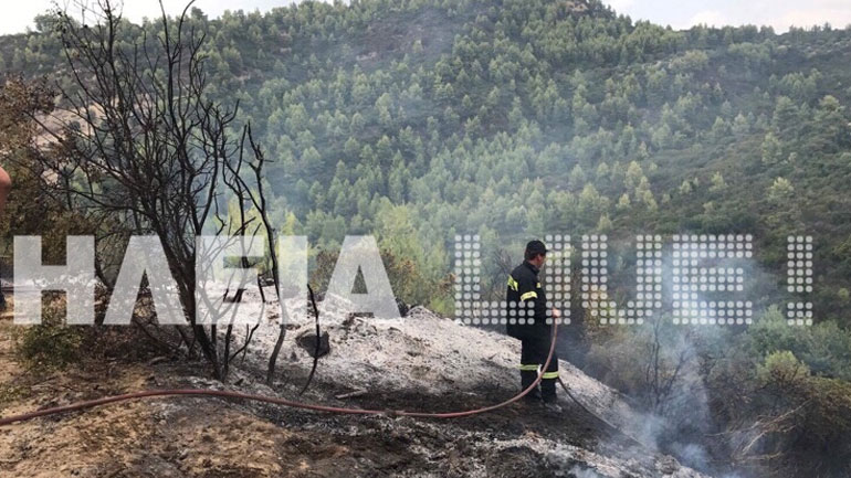 Ηλεία: Υπό μερικό έλεγχο η πυρκαγιά στα Λυμπεραίϊκα Ήλιδας