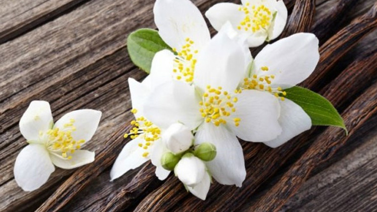 DIY: Αρωματικό χώρου με βανίλια για το σπίτι σας