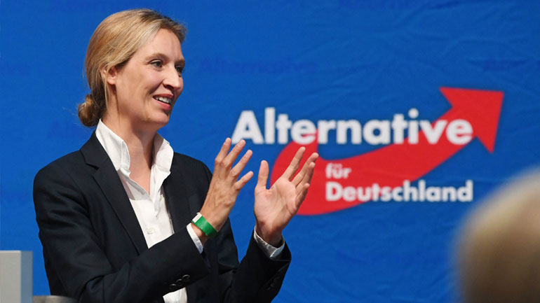Γερμανία: Ντιμπέιτ των επικεφαλής των ψηφοδελτίων των μικρότερων κομμάτων