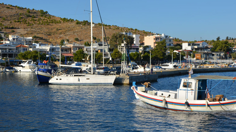 Μέγαρα: Εκστρατεία καθαρισμού του βυθού της θάλασσας έξω από το λιμάνι της Πάχης