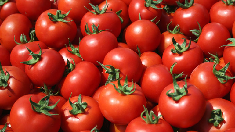 Δέσμευση φορτίου 5,7 τόνων ντομάτας στον Πειραιά