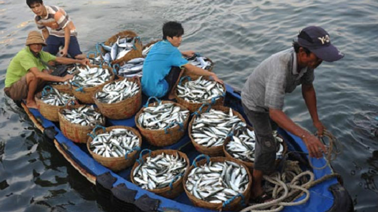 Κίνα: Αυστηρά μέτρα κατά της παράνομης αλιείας για την προστασία του θαλάσσιου περιβάλλοντος