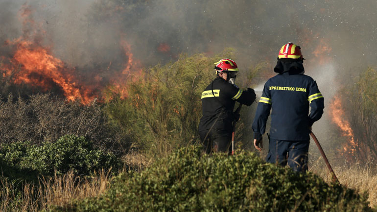 Πυρκαγιά στην Ηλεία