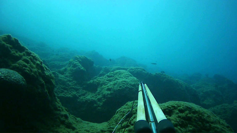 Ψαράς στην Κρήτη βγάζει ψάρι 30 κιλών