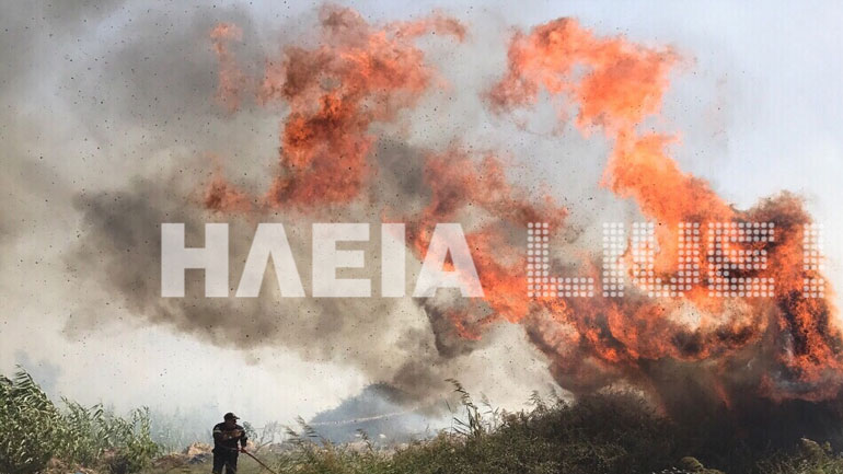 Σε εξέλιξη πυρκαγιά στο Σκουροχώρι Ηλείας