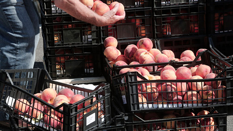 Δέσμευση 1.602 κιλών ροδάκινων στον Πειραιά