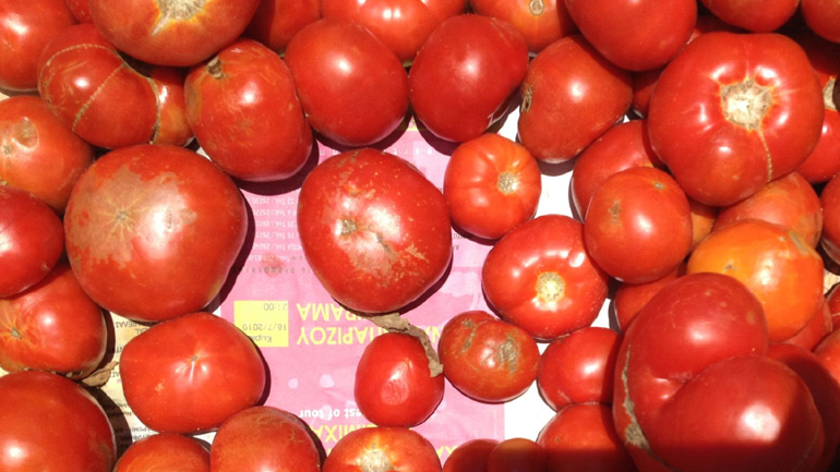 Δέσμευση 3,2 τόνων οπωροκηπευτικών στη λαχαναγορά του Ρέντη