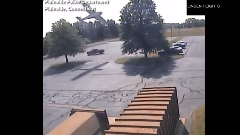 Αεροπλάνο έπεσε σε δέντρο – Ούτε γρατζουνιά ο πιλότος