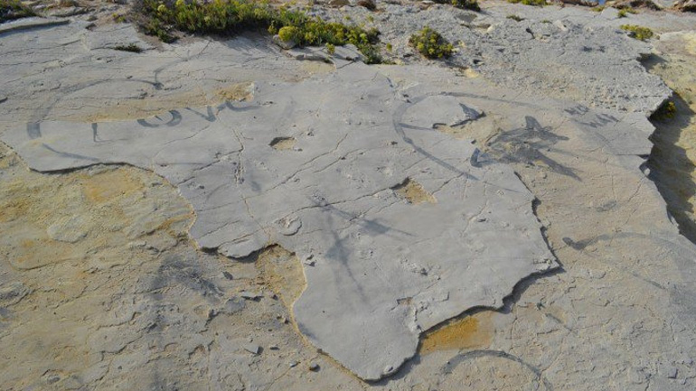 Απίστευτο: Έκλεψαν τις «αρχαίες πατημασιές» στην Κίσσαμο Χανίων