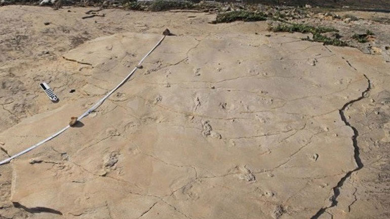 Μυστήριο με την κλοπή των απολιθωμένων πατημασιών στην Κίσσαμο Χανίων