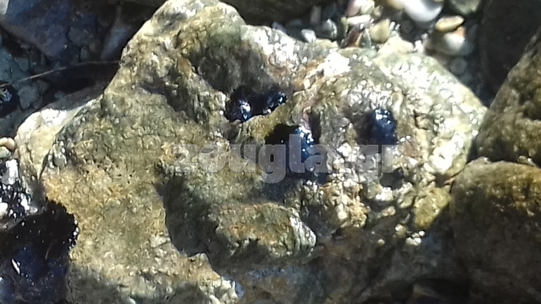 Η κηλίδα έφτασε σε Λαγονήσι-Σαρωνίδα