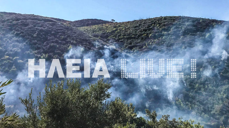 Ηλεία: Ψάχνουν τον εμπρηστή των Ροδινών