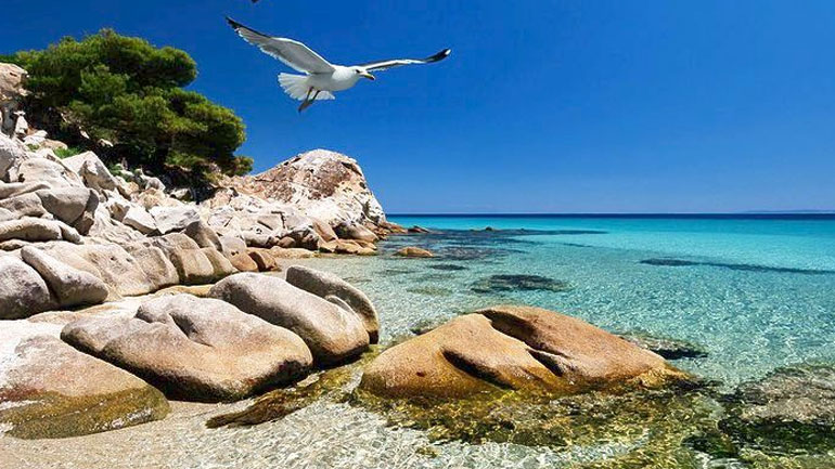 Δεύτερο «καλοκαίρι» ζει η Χαλκιδική – Ξεπερνά το 80 με 85% η πληρότητα