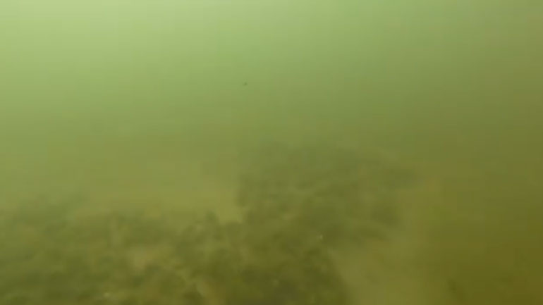 Υποβρύχιο βίντεο: Σωματίδια μαζούτ αιωρούνται στον βυθό της Γλυφάδας