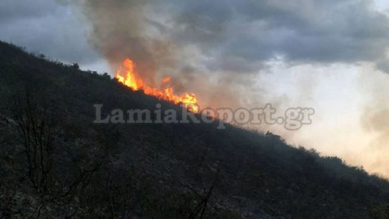 Πυρκαγιά σήμανε συναγερμό στη Φθιώτιδα