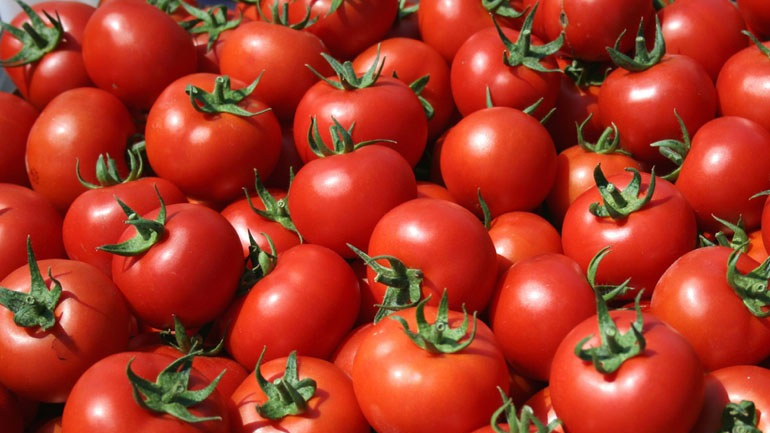Δεσμεύτηκαν 720 κιλά ντομάτες