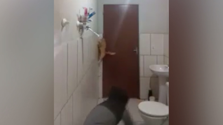 Θα κλάψετε από τα γέλια: Το βίντεο που έγινε viral!