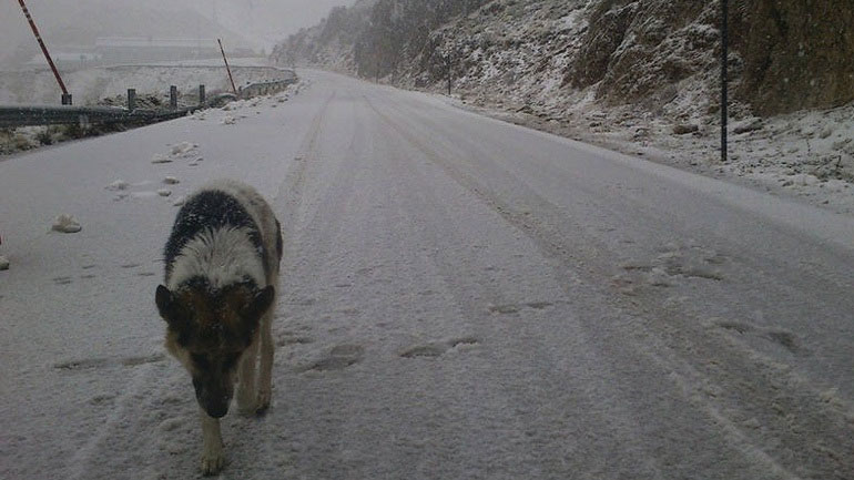 Από καύσωνα…χειμώνας – Χιονίζει στο Καϊμακτσαλάν