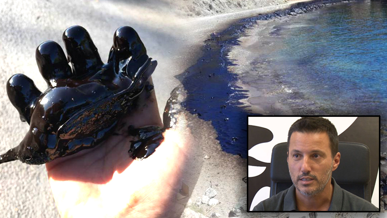 Περιβαλλοντικό έγκλημα και τιμωρία