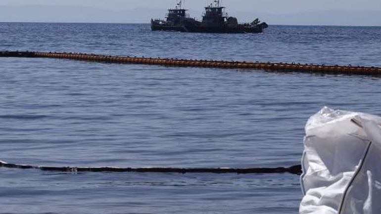 Τι έδειξαν οι πρώτοι έλεγχοι οστρακοειδών μετά τη ρύπανση στον Σαρωνικό