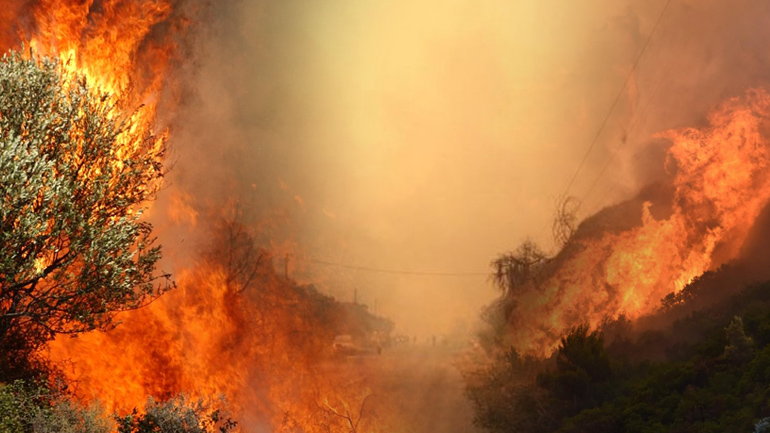 Κασσάνδρα: Οι φλόγες έφτασαν στις αυλές των σπιτιών