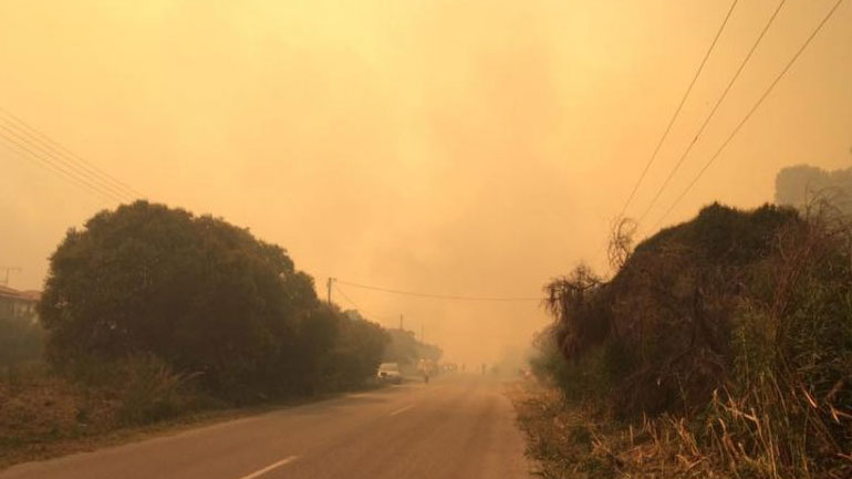 Oριοθετήθηκαν οι πυρκαγιές σε Λιβάδι – Σιδηρόκαστρο. Υπό μερικό έλεγχο η φωτιά στην Κασσάνδρα