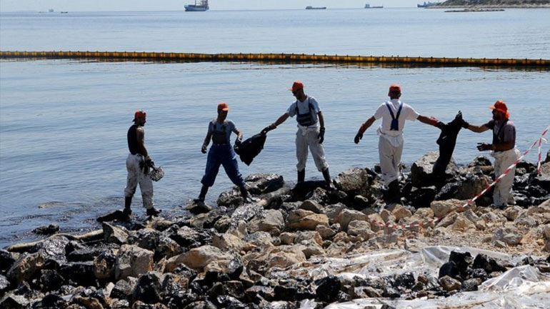 Καθησυχαστικό το ΕΛΚΕΘΕ για τα ψάρια στον Σαρωνικό κόλπο