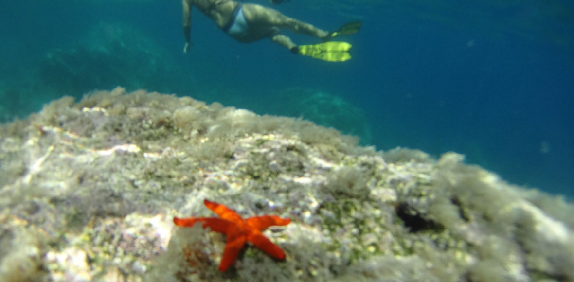 To πείσμα της επιβίωσης