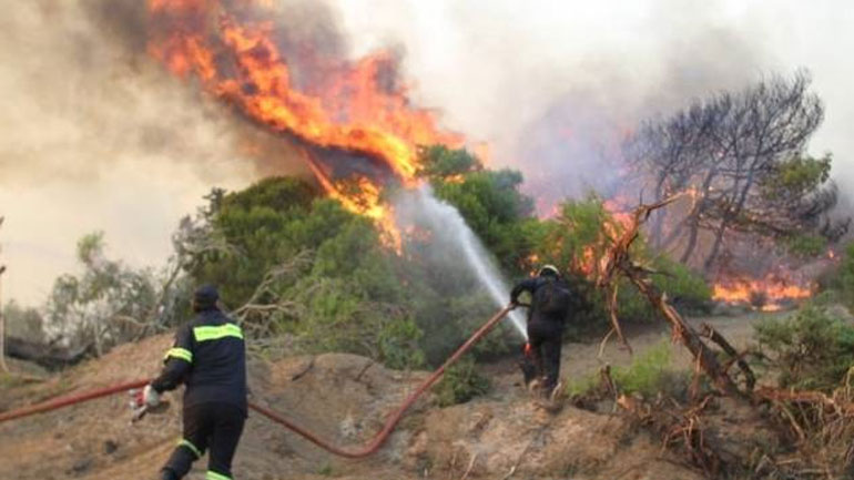 Χαλκιδική: Υπό έλεγχο η πυρκαγιά που ξέσπασε σε δασική έκταση έπειτα από κεραυνό