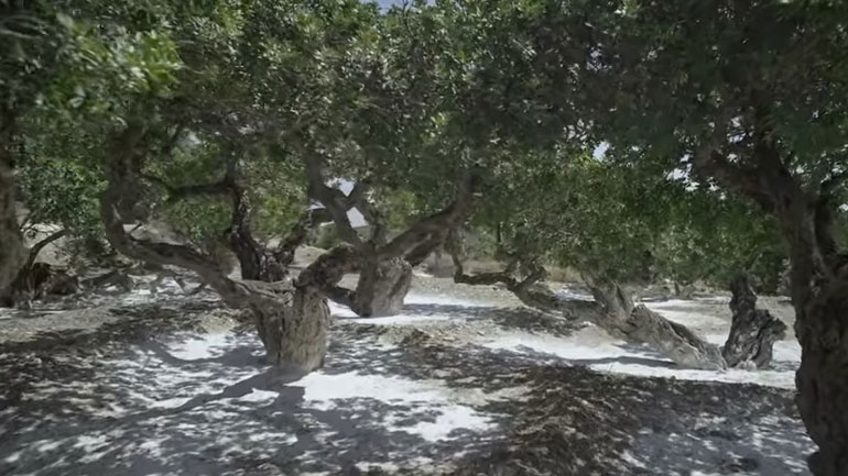 Συνελήφθη μαστιχοκλέφτης στη Χίο