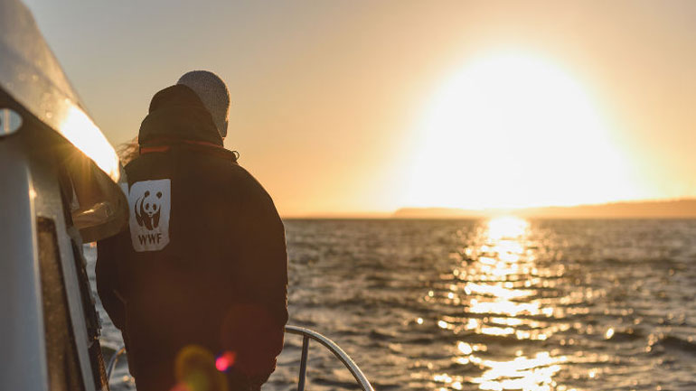 WWF Ελλάς: Η Μεσόγειος – που προσφέρει το 20% του παγκόσμιου θαλάσσιου προϊόντος – εκπέμπει SOS