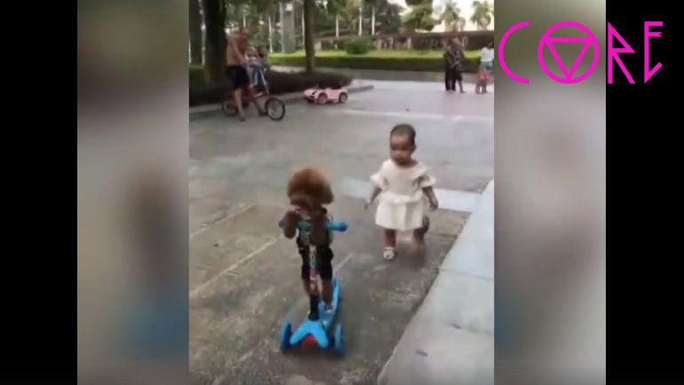 Κανίς κλέβει το πατίνι ενός μικρού παιδιού Κανίς κλέβει το πατίνι ενός μικρού παιδιού