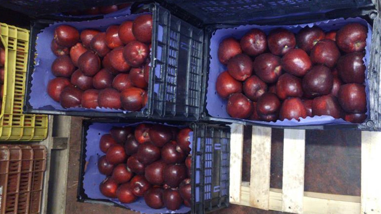 Δέσμευση 4,7 τόνων οπωροκηπευτικών χωρίς σήμανση