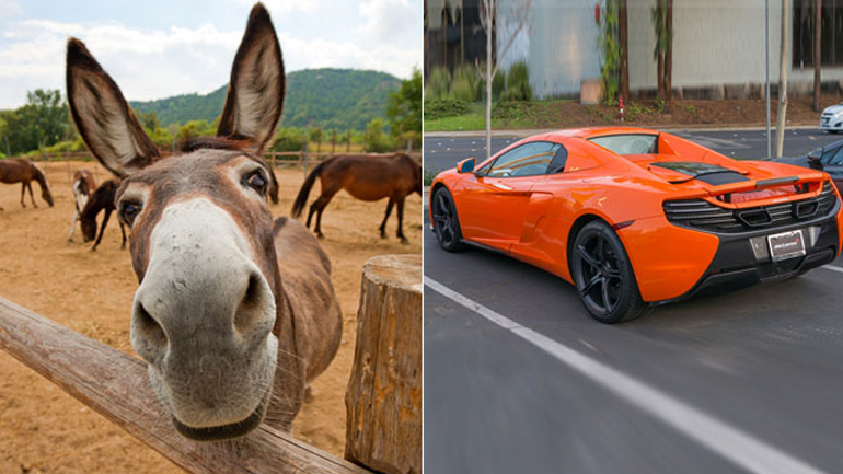 Γάιδαρος προκάλεσε ζημιά χιλιάδων ευρώ σε McLaren!