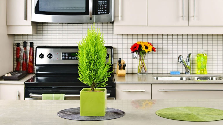 Αυτά είναι τα αντικείμενα στην κουζίνα σας που χρειάζονται συχνά αντικατάσταση