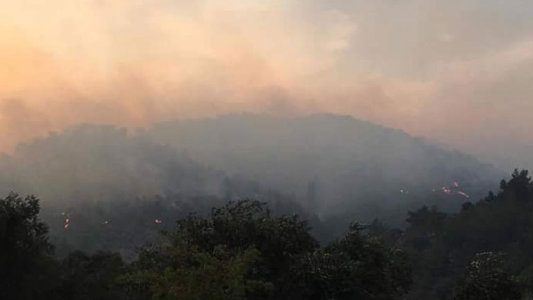 Υπό πλήρη έλεγχο δύο πυρκαγιές στη Λέσβο