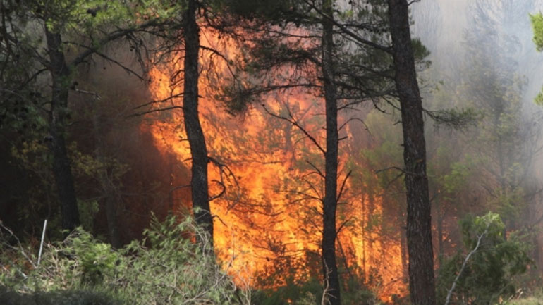 Οριοθετήθηκε η φωτιά στην Αγία Βαρβάρα Κρήτης